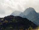 Park of  Apuan Alps